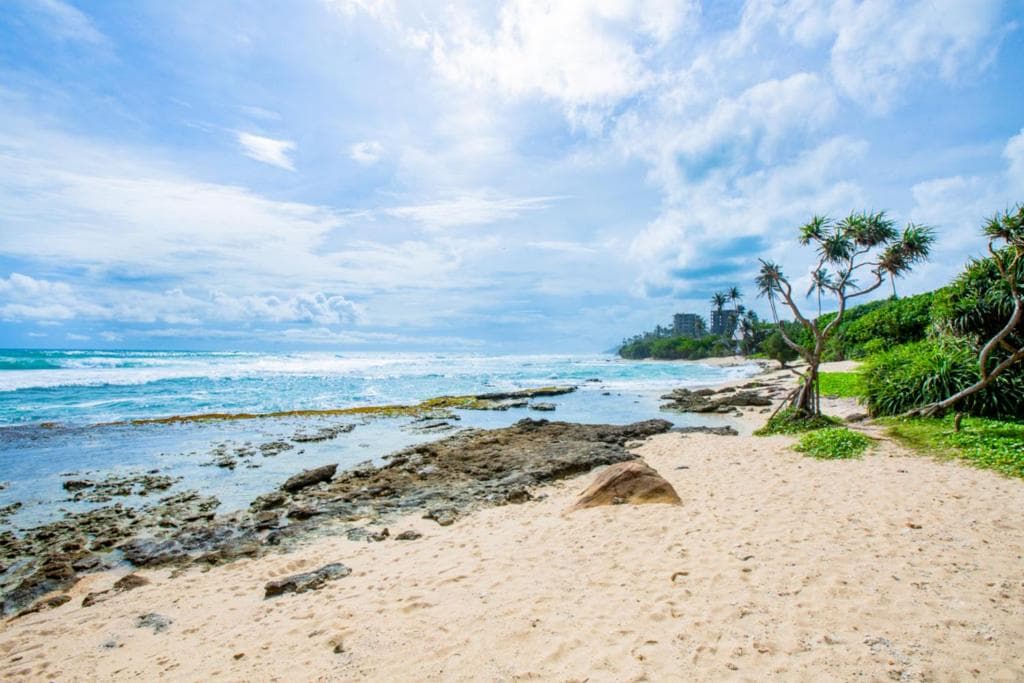 A quiet sandy beach with rocks, palms, and greenery along the shore