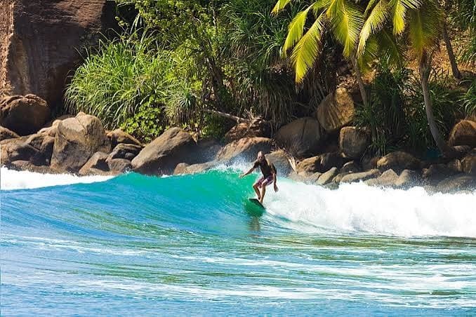 A surfer riding a clean turquoise wave in front of rocks and palms