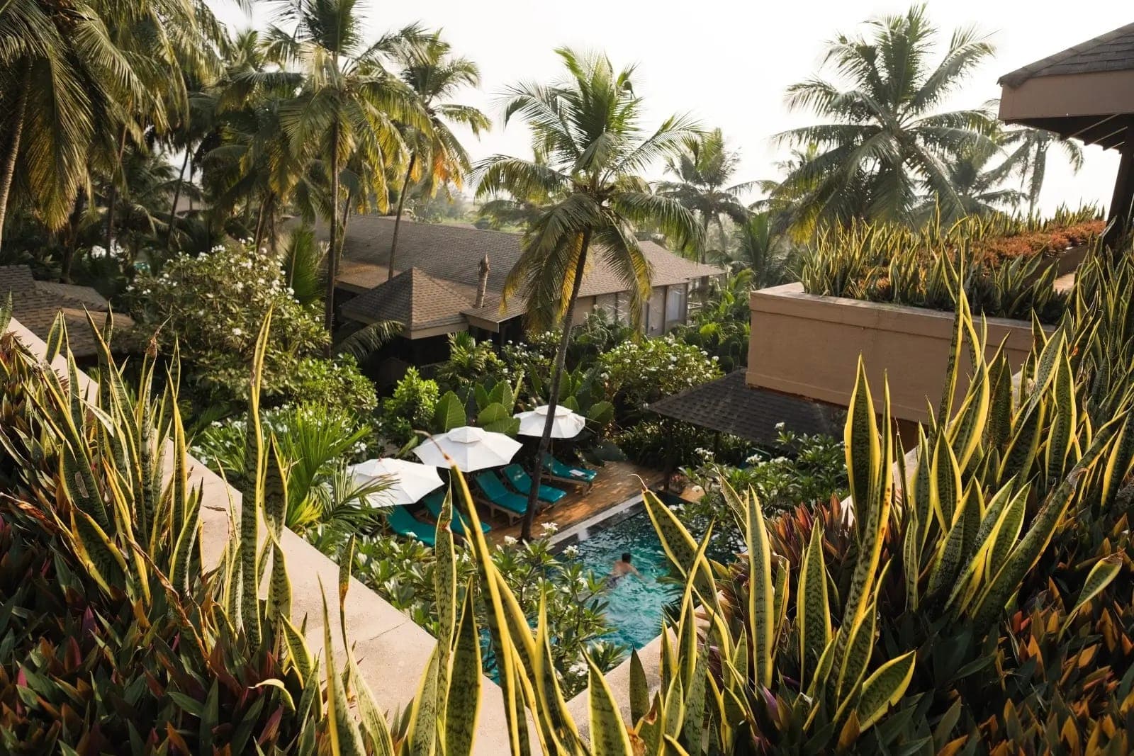 The pool at a Goa partner hotel near the village, lined with palms